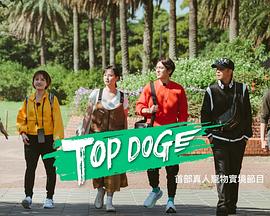 杨贵妃传媒《TOP DOG》免费在线观看