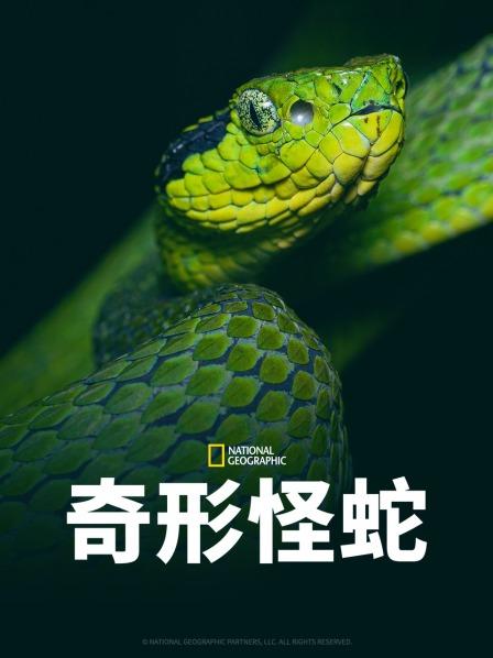 果冻传媒《奇形怪蛇》免费在线观看